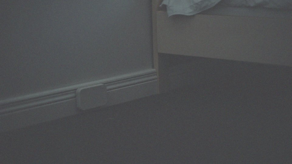 Czym są pułapki na pluskwy i jak działają?